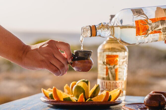 Side by Side UTV Adventure and Tequila Tasting in Cabo - Who is This Tour Best For?