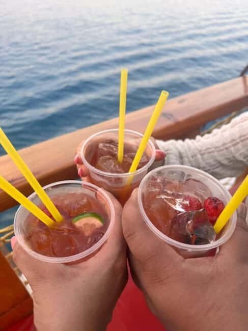 Side Dolphin Island Boat Trip with Lunch & Swim Stops - Key Points