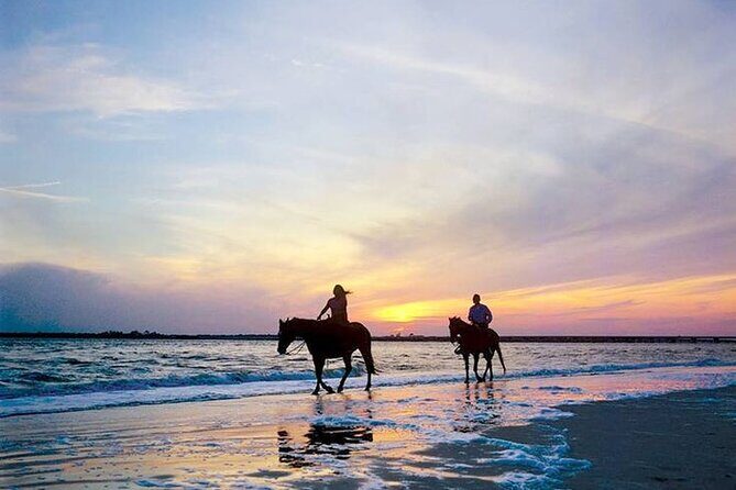 Side Horse Riding On Beach And Through The Forests For 2 Hours - Authentic Experiences and Real-World Insights