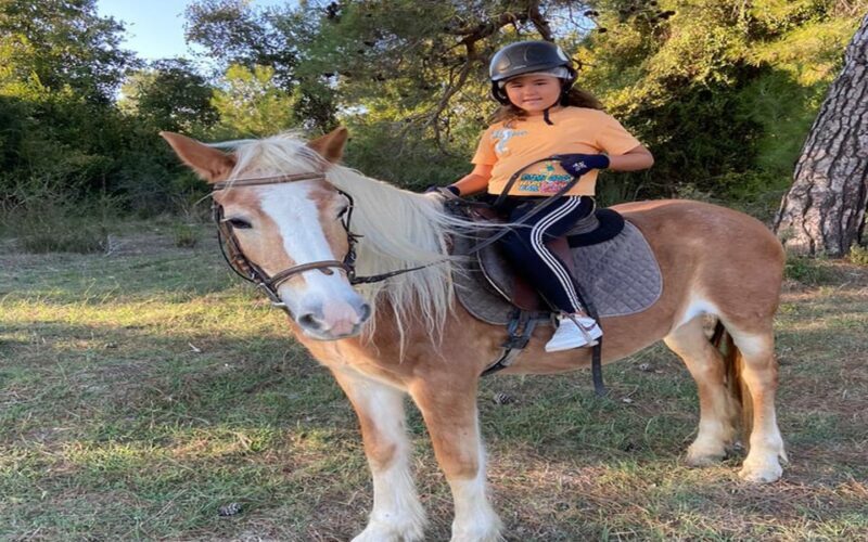 Side: Horse Safari Tour - Who Should Consider This Tour?