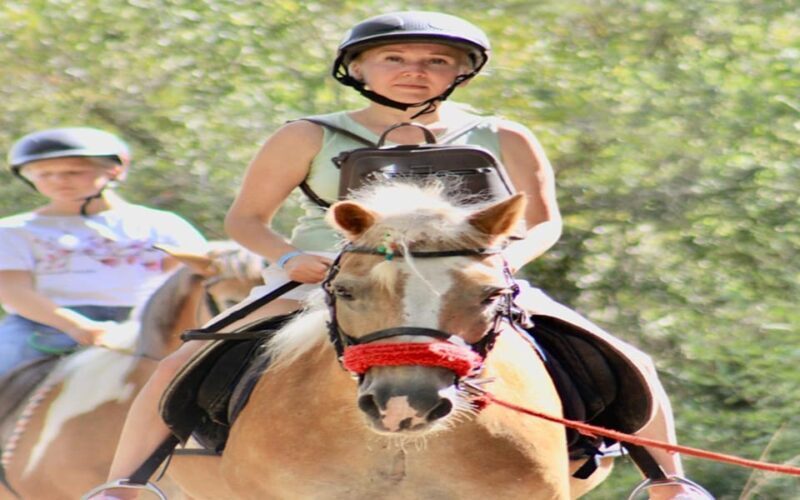 Side: Horse Safari Tour - The Sum Up