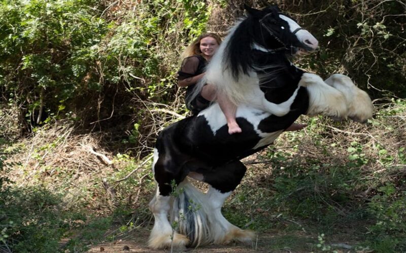 Side: Horse Safari Tour - Frequently Asked Questions