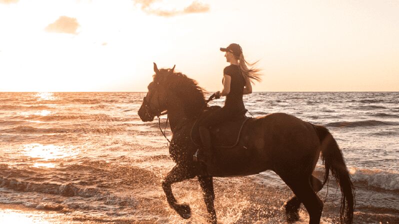Side: Horseback Riding Tour in Nature with Transfer - Key Points