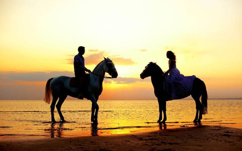 Side: Horseback Riding Tour in Nature with Transfer - The Experience for Different Travelers