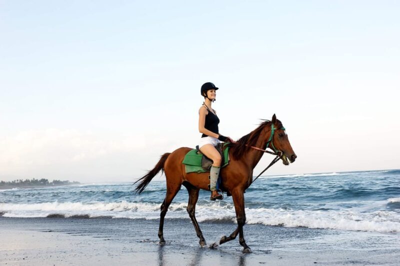 Side: Horseback Riding Tour in Nature with Transfer - The Sum Up
