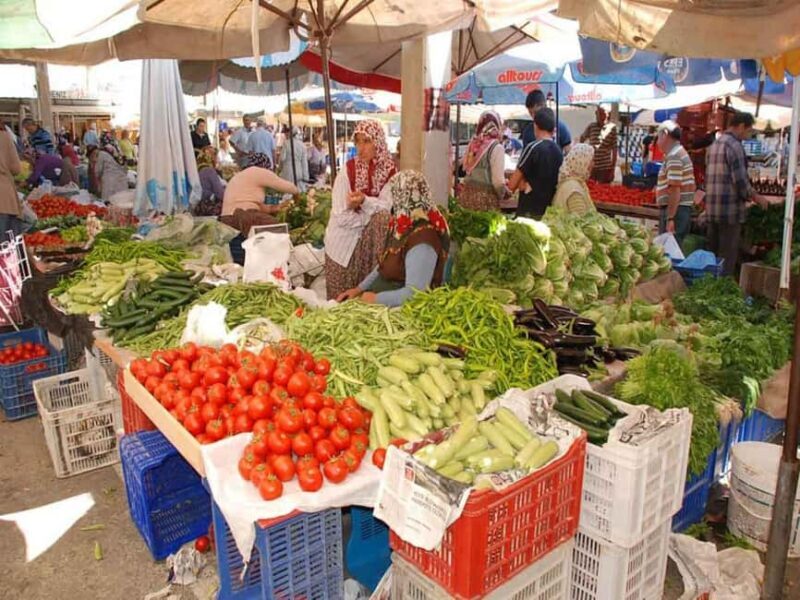 Side: Manavgat Boat, Bazaar, & Waterfall Day Trip with Lunch - Final Thoughts