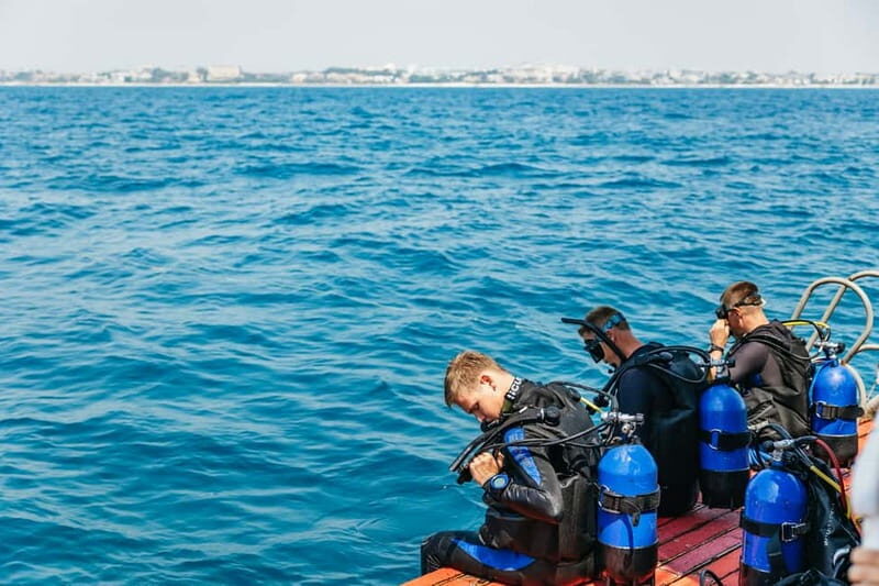 Side: Scuba Diving, Underwater Museum, 2 Dives incl. Lunch - Key Points