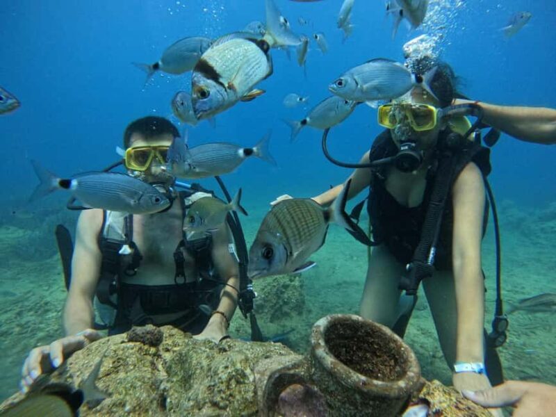 Side: Scuba Diving with Expert Diving Option - Value for Money and Practical Details