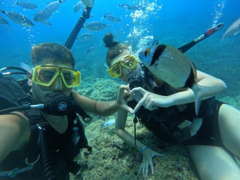 Side: Scuba Diving with Expert Diving Option - Final Thoughts: Is This Tour for You?