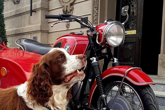 Sidecar Tours Belgrade - Exploring Belgrade in Style: What You Can Expect