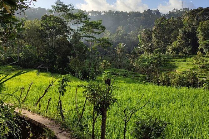 Sidemen Trekking: A Walk from Different Perspective - Source