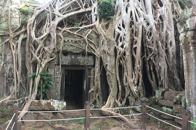 Siem Reap Angkor 2-Day Tour - Siem Reap Angkor 2-Day Tour Review