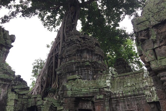 Siem Reap Angkor Sunrise private 3 Days by Bike - Who’s This Tour Best Suited For?