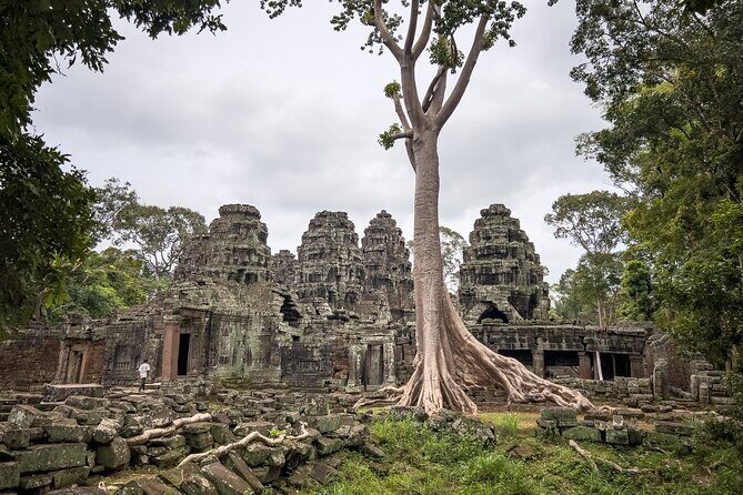 Siem Reap: Angkor Sunrise Tour by Bike with Breakfast & Lunch - The Experience: What Makes It Stand Out