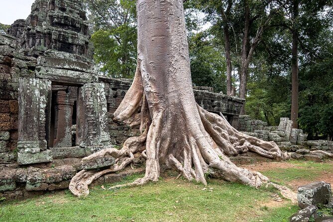 Siem Reap: Angkor Sunrise Tour by Bike with Breakfast & Lunch - Final Thoughts: Who Is This Tour Best For?