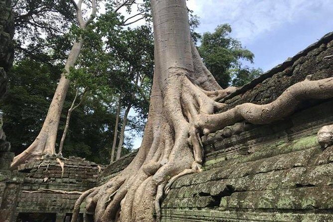 Siem Reap Angkor Wat Guide Tour Small Group - Final Thoughts