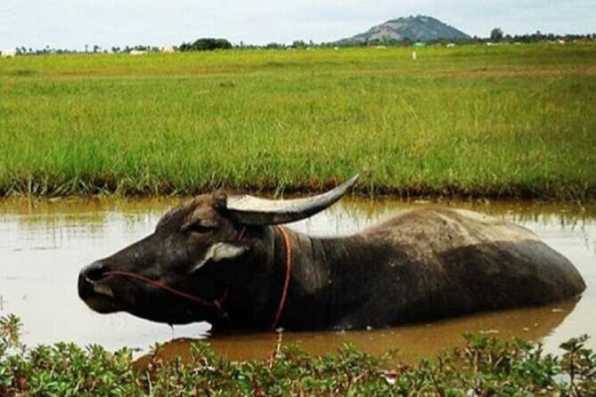 Siem Reap Countryside Sunset Jeep Tour - Half-day - FAQs