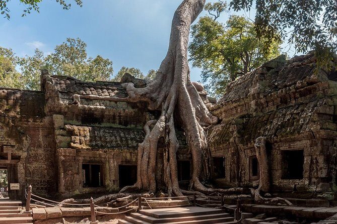 Siem Reaps signature temples discovered - Who Will Enjoy This Tour?