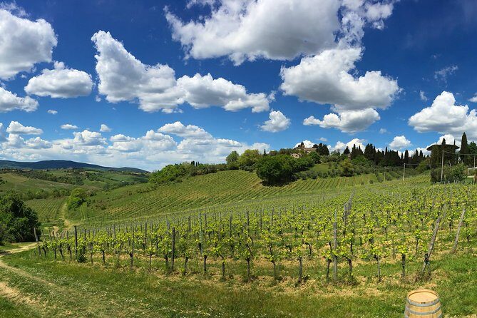 Siena: A Wine Tour and Tasting Experience - The Setting and Overall Atmosphere