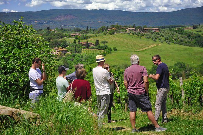 Siena: A Wine Tour and Tasting Experience - Practical Details and Value