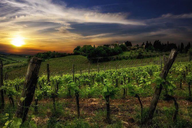 Siena: A Wine Tour and Tasting Experience - Frequently Asked Questions