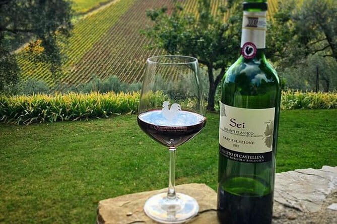 Siena and Chianti Wineries Excursion by Private Luxury Van from Florence - Key Points