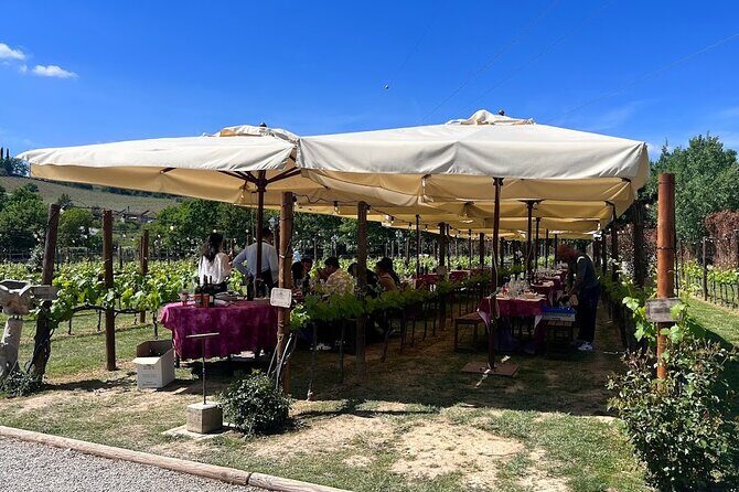 Siena and San Gimignano from Rome: Private Wine Tour in Tuscany - FAQ