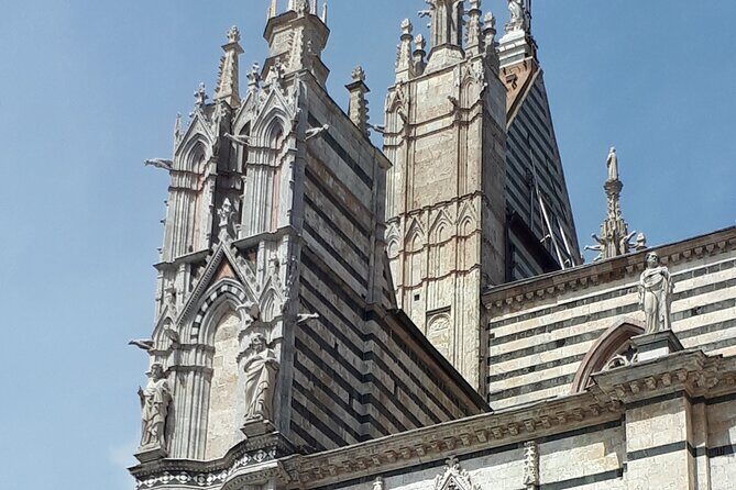 Siena Cathedral: shrine of treasures. - FAQ
