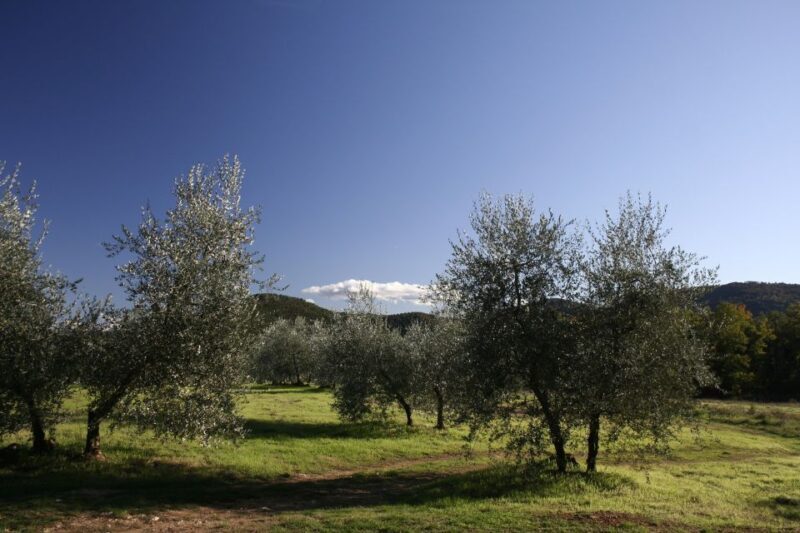 Siena: Half-day Guided Hike to Monteriggioni - Exploring Tuscany on Foot: Siena’s Guided Hike to Monteriggioni