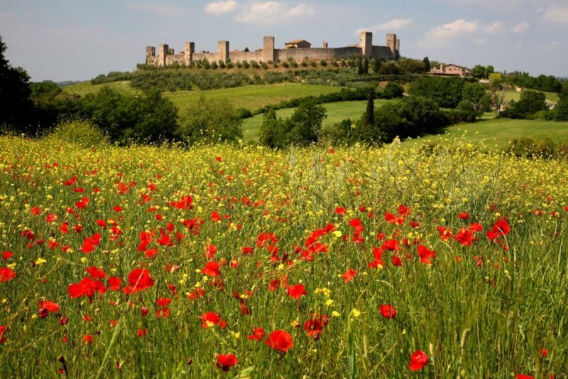 Siena: Half-day Guided Hike to Monteriggioni - Who Will Love This Experience?
