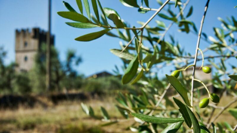 Siena: Half-day Guided Hike to Monteriggioni - FAQ