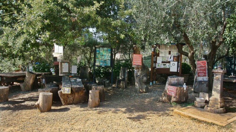 Siena: Half-day Guided Hike to Monteriggioni - Final thoughts