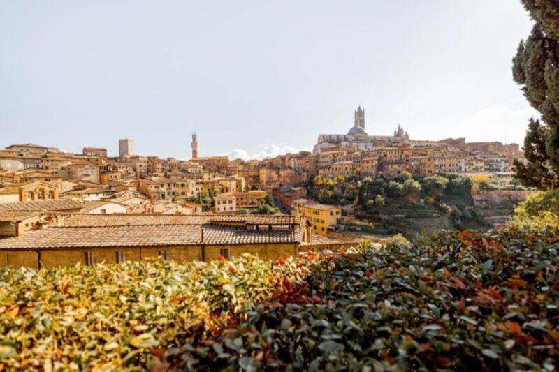 Siena: Private Custom Tour with a Local Guide - An In-Depth Look at the Siena Private Tour