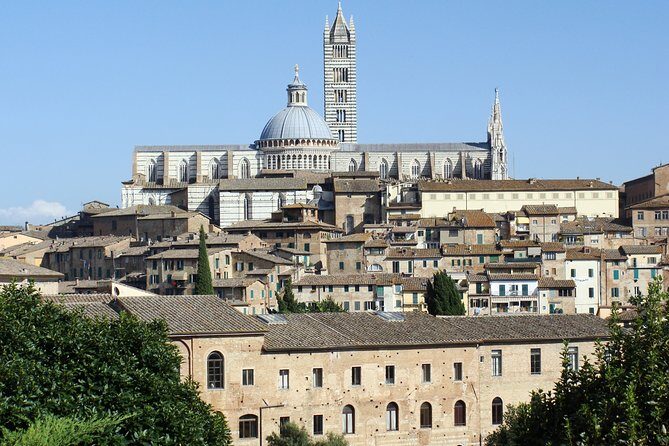 Siena private guided tour for families - Via Banchi di Sopra and Medieval Streets