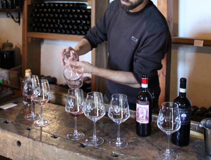Siena: Tuscan Classics Wine Tasting Class with Aperitivo - Who This Tour Is Best For