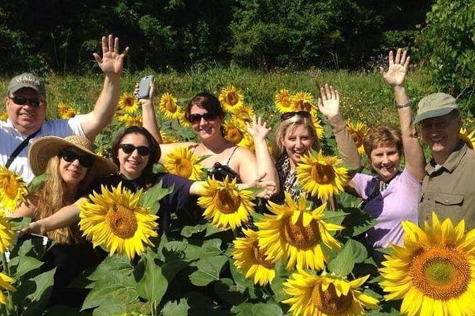 Siena & Tuscany - Who Will Love This Tour?