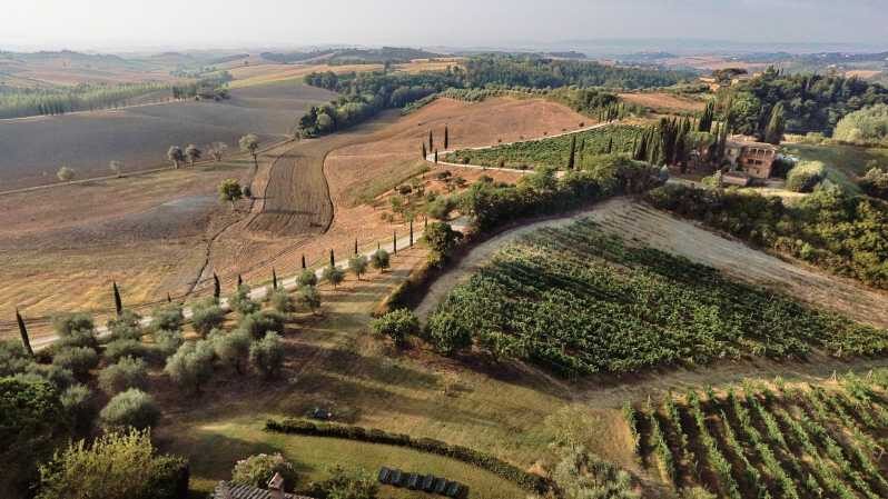 Siena: Winery tour/tasting with owner/maker of awarded wines - The Sum Up