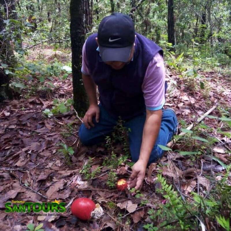 Sierra Norte: Eco Adventure Tour - Final Thoughts