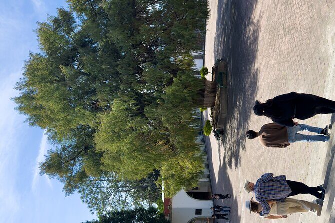 Sierra Norte: Full day tour - The Sum Up