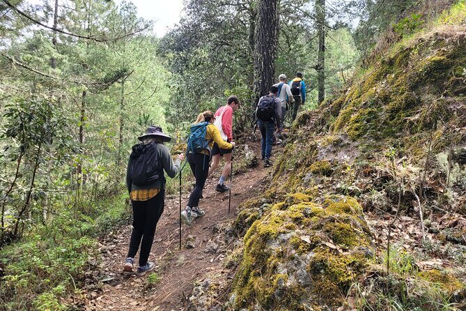 Sierra Norte Hike and Indigenous Village Full-Day Adventure - The Bottom Line: Who Should Take This Tour?