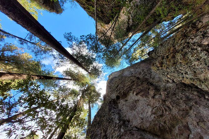 Sierra Norte Hike and Indigenous Village Full-Day Adventure - FAQs