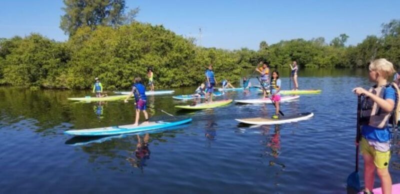 Siesta Key: Mangrove Kayak or Paddleboard Tour - Key Points