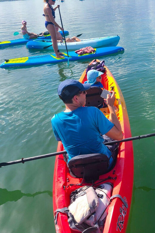 Siesta Key: Mangrove Kayak or Paddleboard Tour - FAQ