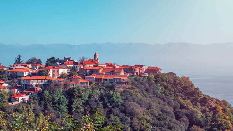 Sighnaghi and Bodbe Wine Tasting private tour: From Tbilisi - An Authentic Taste of Kakheti: What the Tour Offers