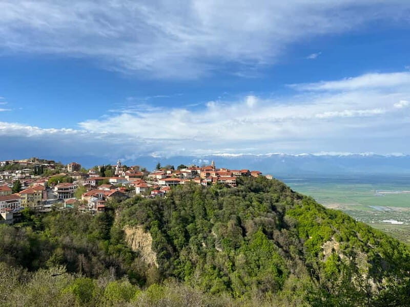 Sighnaghi Day Trip with wine tasting and Bodbe Monastery - Sighnaghi Day Trip with Wine Tasting and Bodbe Monastery: An Authentic Georgian Experience