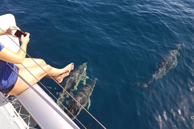 Sighting Dolphin Trip Estepona, Marbella - The Experience: What to Expect