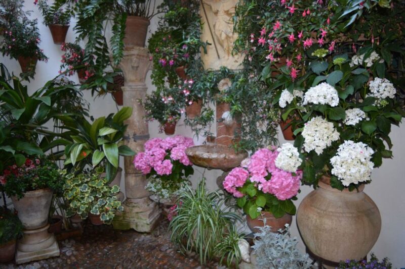 Sights, Sounds, and Scents of Córdoba's Patios - Who Should Book This Tour?