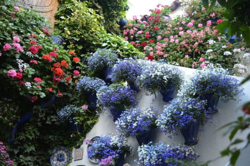 Sights, Sounds, and Scents of Córdoba's Patios - FAQs