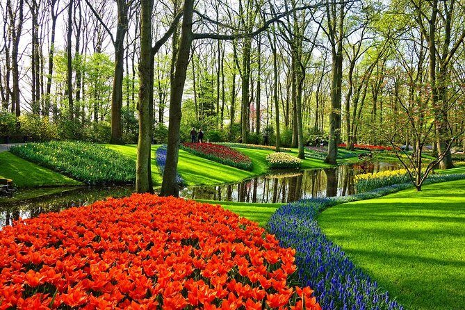 Sightseeing Keukenhof Tulip fields, Giethoorn tour from Amsterdam - Experience the Beauty of Holland: Keukenhof and Giethoorn Private Tour Review