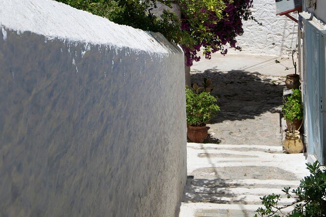 Sightseeing Private Tour in Athens Acropolis (Elysium Travel) - Exploring the Heart of Athens: A Detailed Look at the Tour